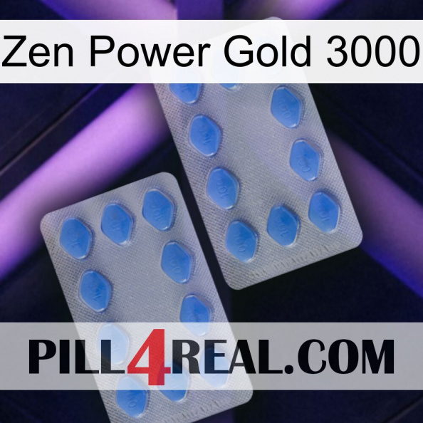 Zen Power Gold 3000 20.jpg